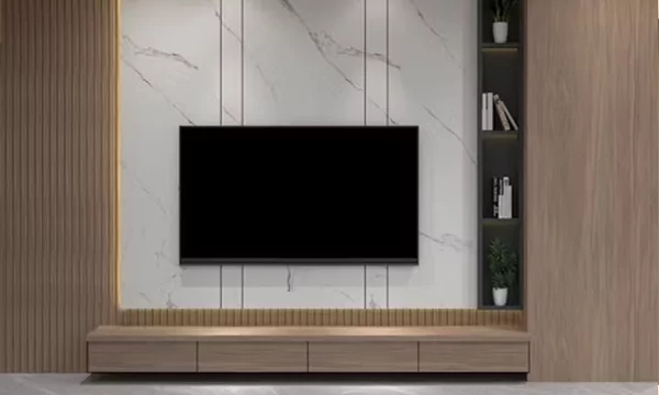 Modern & Minimalist TV Unit